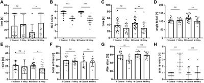 Diet-induced hyperhomocysteinemia causes sex-dependent deficiencies in offspring musculature and brain function